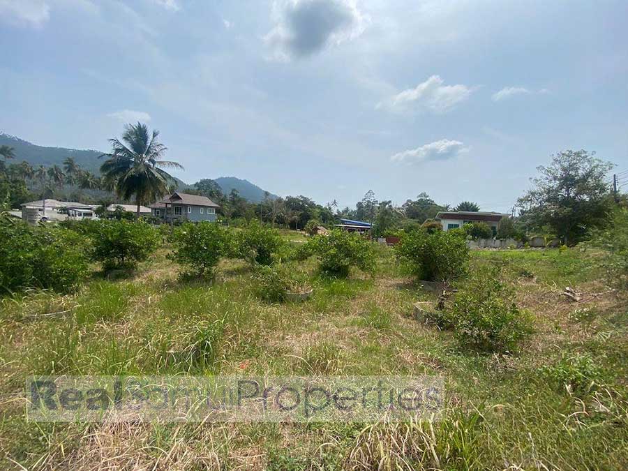 3,200 sqm of Garden View Land, Lamai